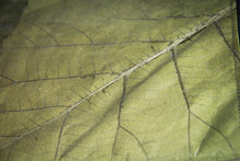 Carica l'immagine nel visualizzatore di Gallery, Close-up: Unique leaf texture on the surface