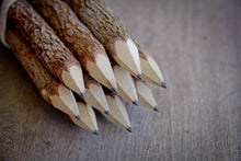 Load image into Gallery viewer, Pencil set made from recycled branches, set of 10