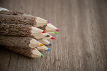 Laden des Bilds im Galerie-Viewer, Buntstifte Set aus recycelten Ästen, 10er-Set