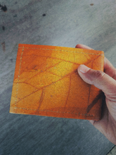 Laden des Bilds im Galerie-Viewer, Portemonnaie aus recycelten Blättern in braun