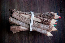 Laden des Bilds im Galerie-Viewer, Buntstifte Set aus recycelten Ästen, 10er-Set