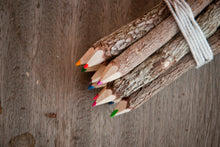 Laden des Bilds im Galerie-Viewer, Buntstifte Set aus recycelten Ästen, 10er-Set