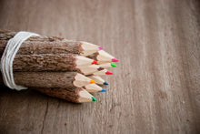 Laden des Bilds im Galerie-Viewer, Buntstifte Set aus recycelten Ästen, 10er-Set