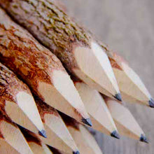 Load image into Gallery viewer, Pencil set made from recycled branches, set of 10