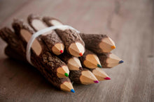 Laden des Bilds im Galerie-Viewer, Buntstifte Set aus recycelten Ästen, 10er-Set