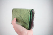 Laden des Bilds im Galerie-Viewer, Nachhaltiges, veganes Portemonnaie aus grünem Blattmaterial mit Reißverschluss, perspektivisch in einer Hand vor weißem Hintergrund gehalten – umweltfreundliche Geldbörse für Damen und Herren.
Sustainable vegan wallet made from green leaf material with zipper, shown in a perspective view in a hand against a white background – eco-friendly unisex purse.