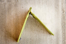 Ladda upp bild till gallerivisning, Portemonnaie mit Clip aus recycelten Blättern in grün