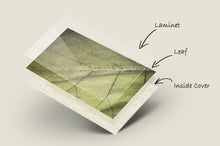 Load image into Gallery viewer, Wallet / mini case made from recycled leaves in green