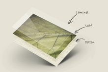 Load image into Gallery viewer, Wallet / mini case made from recycled leaves in yellow