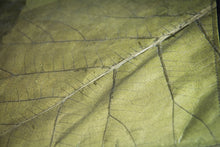 Laden des Bilds im Galerie-Viewer, Laptop-Hülle 13&quot; - 14&quot; Zoll aus recycelten Blättern in grün
