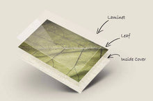 Laden des Bilds im Galerie-Viewer, Federmappe Handmade
